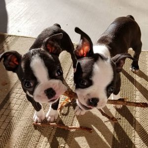 Meet your Posher, Lynn